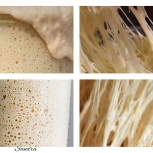 300+ year old European (German)sourdough starter